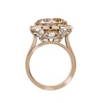 H. D. Krieger - Ring