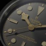 TUDOR - Black Bay 31