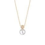 Gellner - Modern Classics Collier