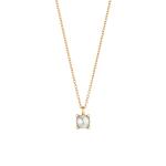 Gellner - Delight Collier
