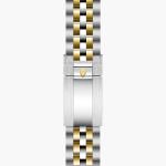 TUDOR - Black Bay One 39 S&G