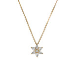 H. D. Krieger - Stars Anhänger