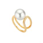 Gellner - MODERN CLASSICS Ring