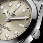 TUDOR - Black Bay 36