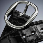 Patek Philippe - Ellipse d'Or