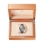 Omega - Seamaster Planet Ocean 600M