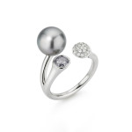 Gellner - Modern Classics Ring