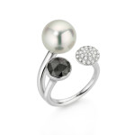 Gellner - Modern Classics Ring