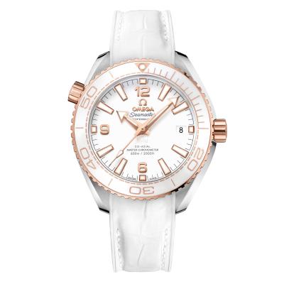 Omega - Seamaster Planet Ocean 600 M