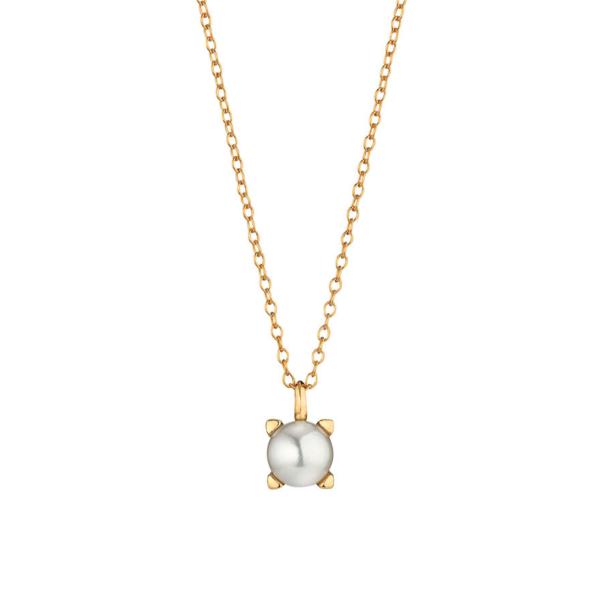 Gellner - Delight Collier