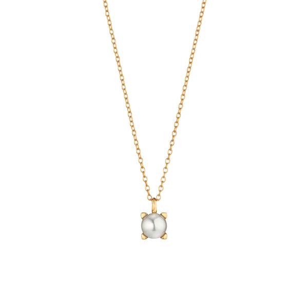Gellner - Delight Collier