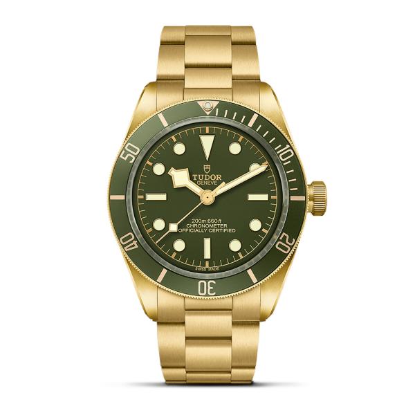 TUDOR - Black Bay 58 18K
