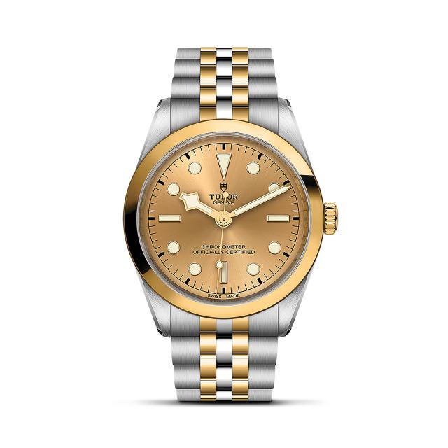 TUDOR - Black Bay One 36 S&G