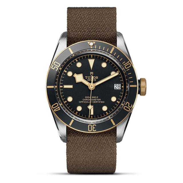 TUDOR - Black Bay S&G