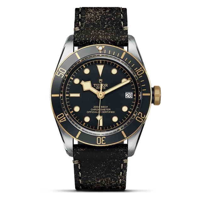 TUDOR - Black Bay S&G