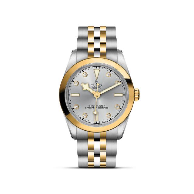 TUDOR - Black Bay One 31 S&G