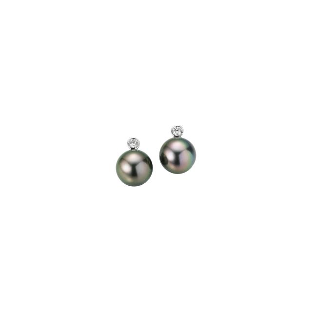 Gellner - H2O Ohrstecker